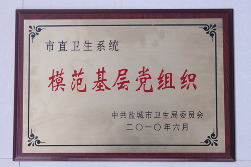 模范基层党组织